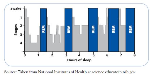 Stages of Sleep Chart